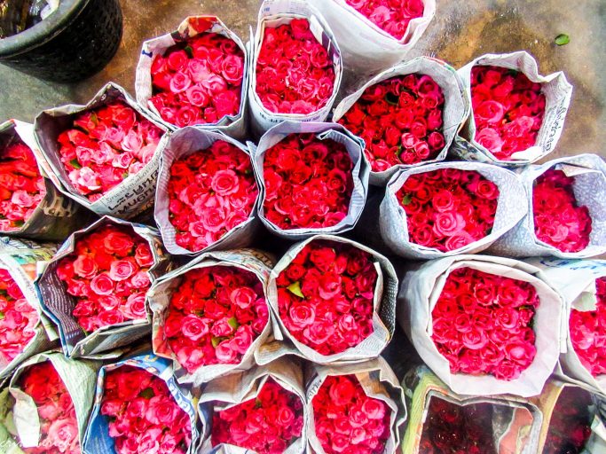 Mercado de las flores Bangkok, rosas
