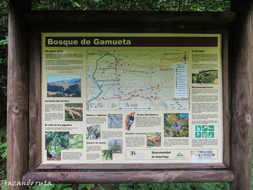 mapa ruta bosque gamueta