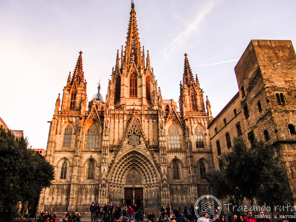 catedral de barcelona que ver