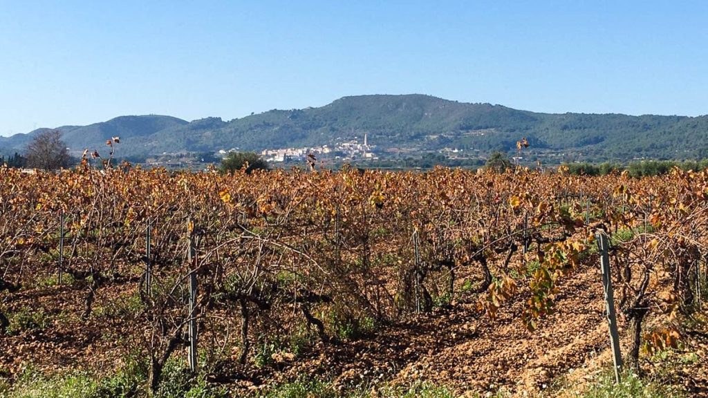 etapa 24 gr 92 arboç pobla de montornés