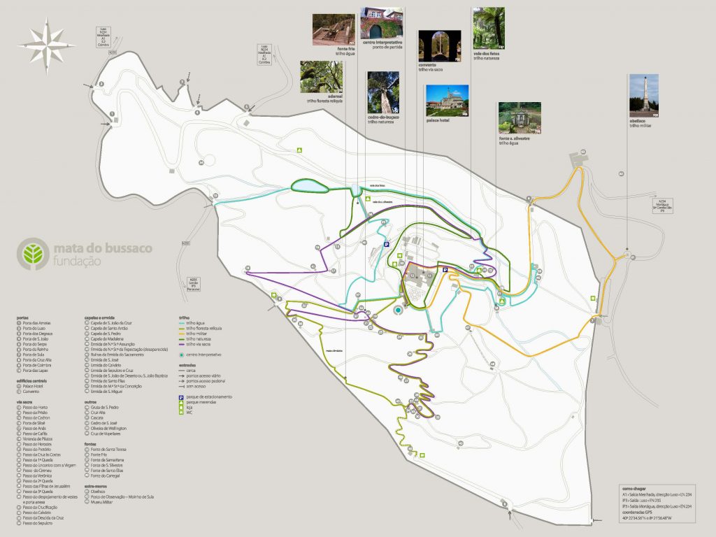 mapa rutas bosque buçaco