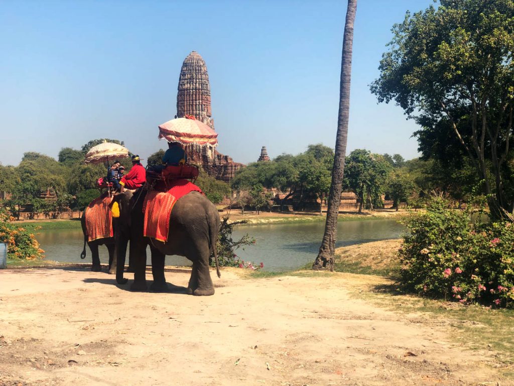 elefantes ayutthaya