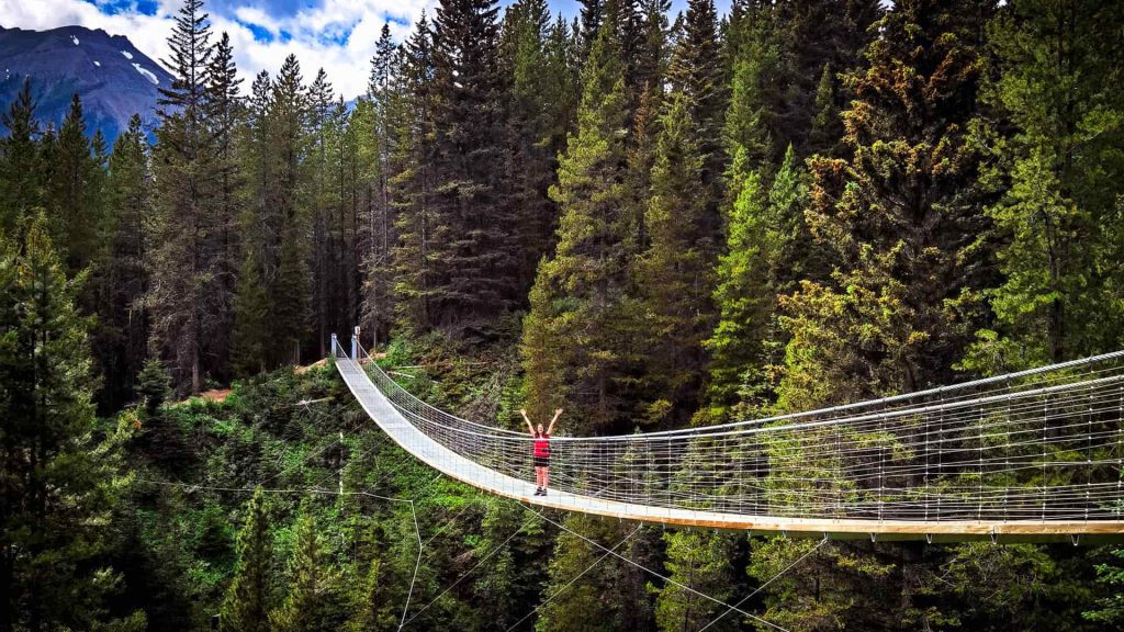 como aceptar invitacion working holiday visa canada