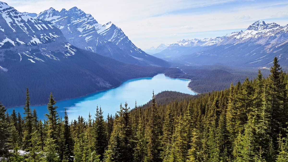 como visitar lago peyto banff