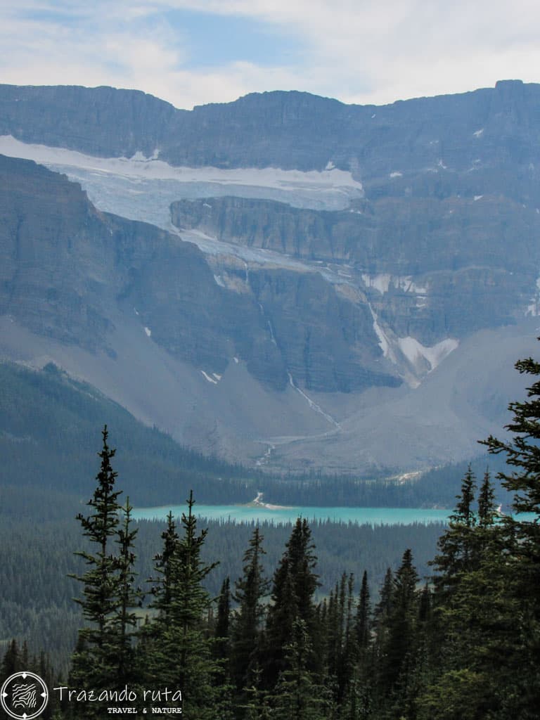 crowfoot glacier y bow lake vistas