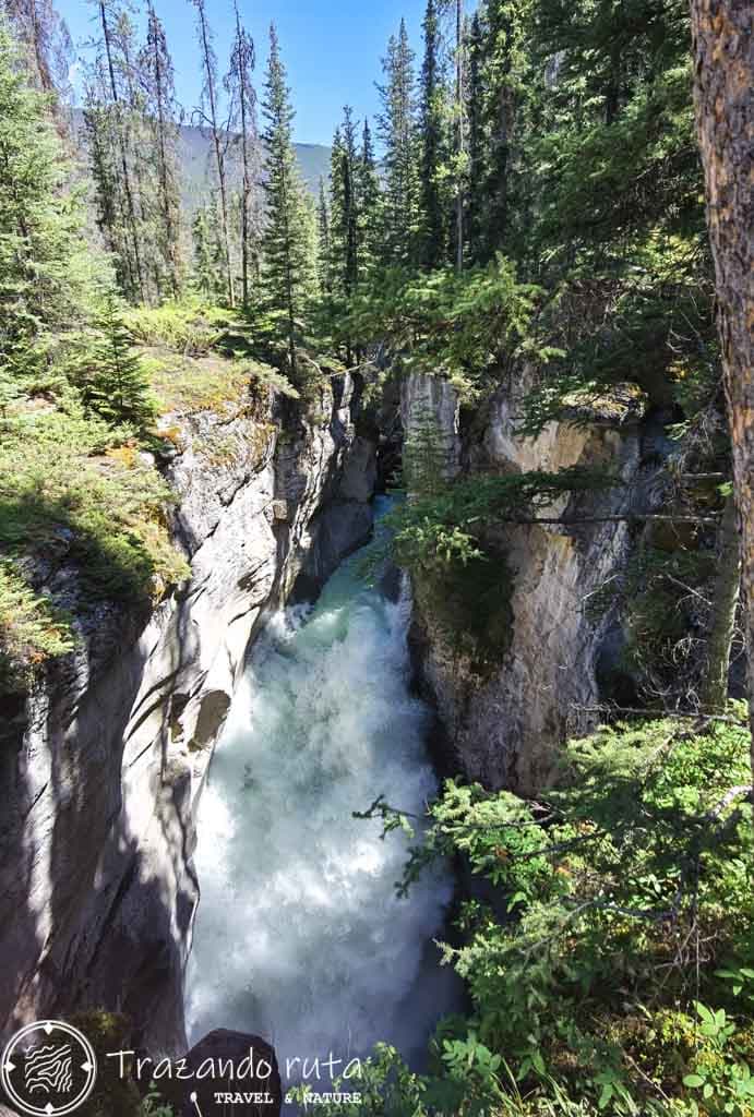 guía maligne canyon jasper national park