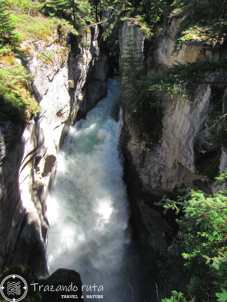 ruta maligne canyon parque nacional jasper guía