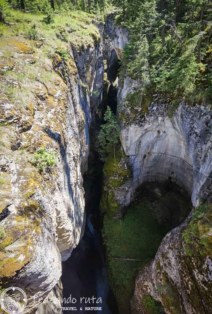 ruta maligne canyon jasper