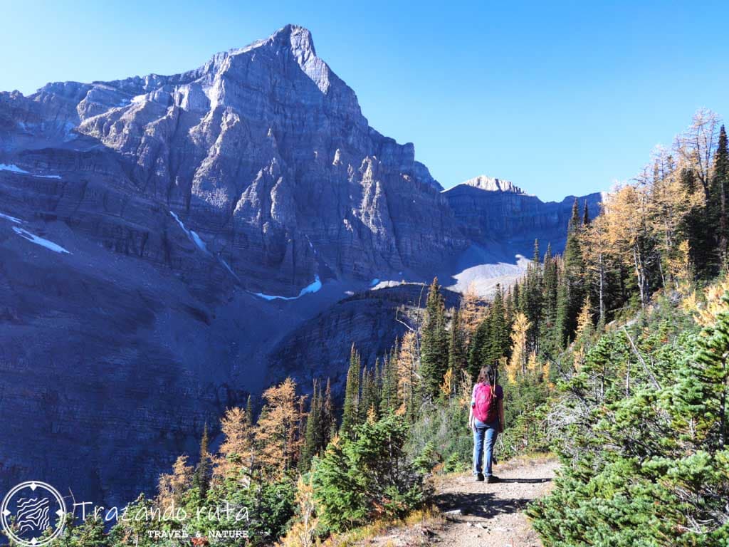 ruta saddleback pass lake louise