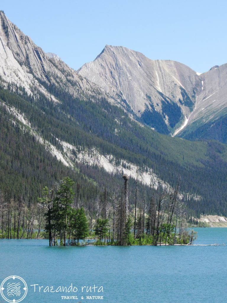 medicine lake que ver jasper