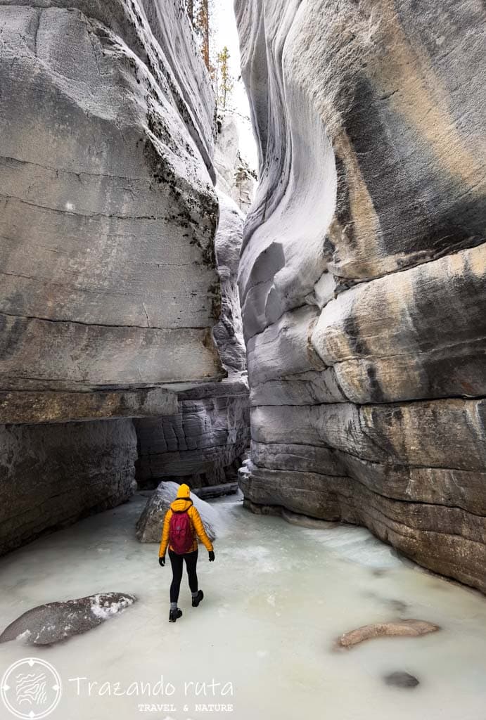 maligne canyon icewalk jasper por libre