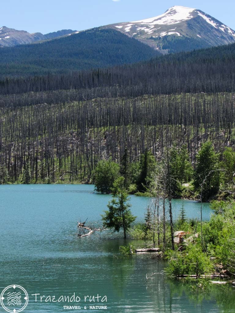 que hacer en parque nacional de jasper medicine lake