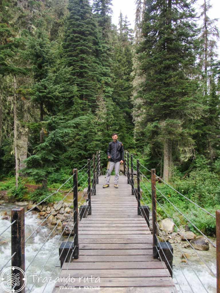 ruta glacier crest trail parque nacional glacier