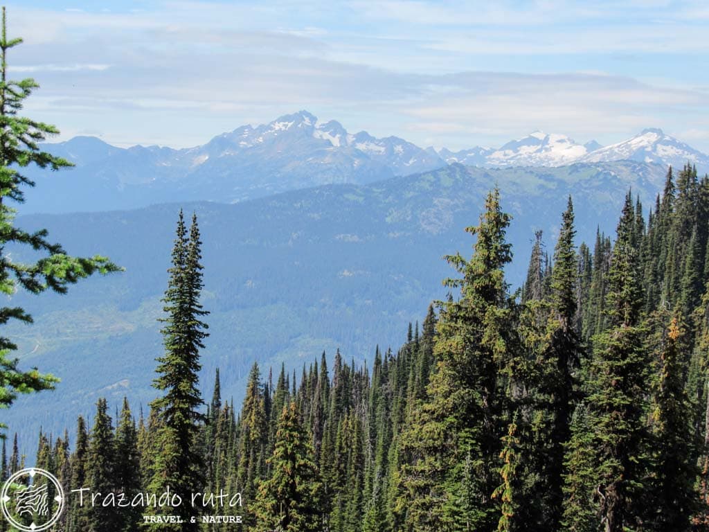 parque nacional monte revelstoke