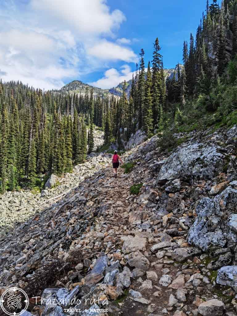 rutas parque nacional monte revelstoke