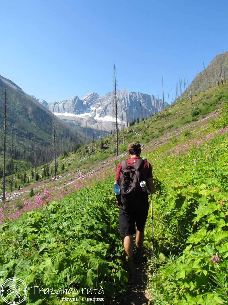 floe lake hike trail