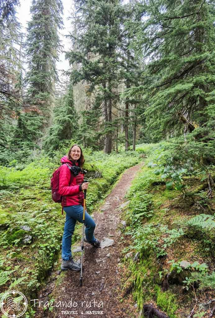 ruta glacier crest trail canada