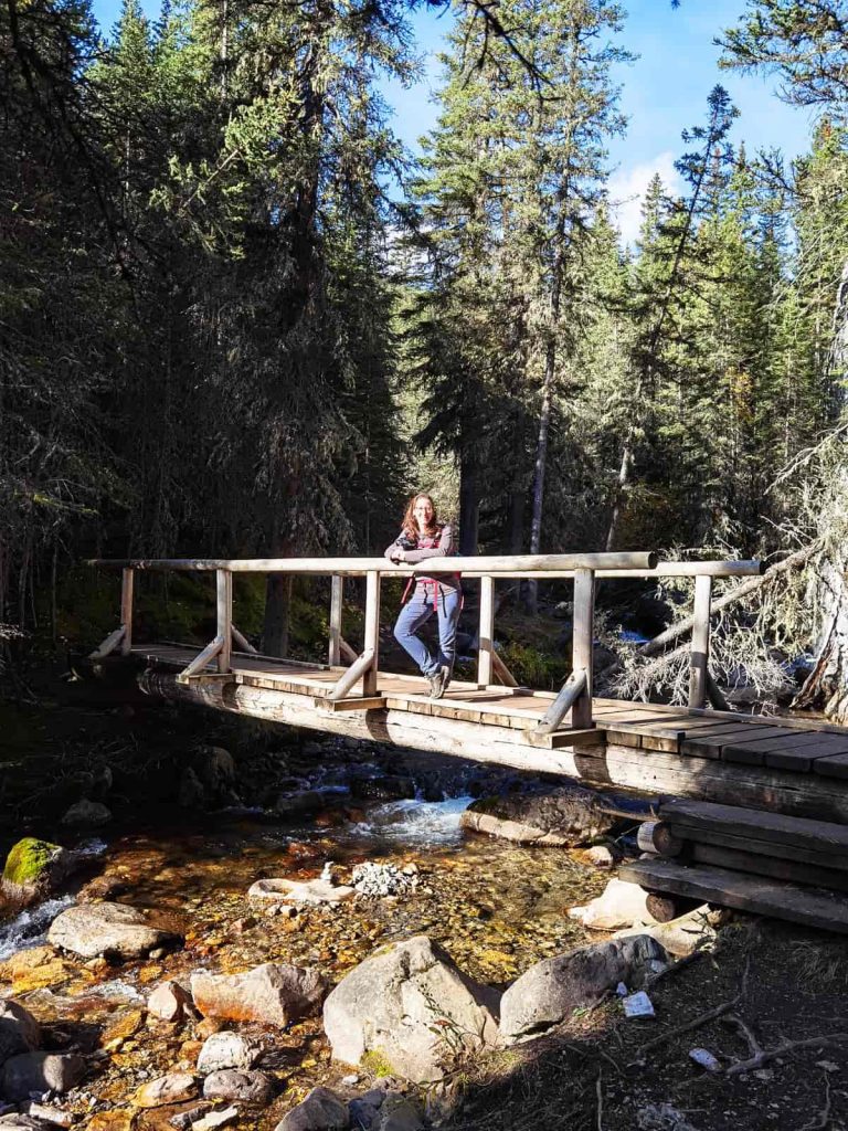 ruta lillian lake puentes