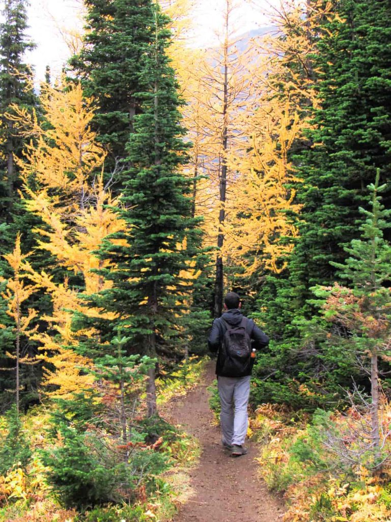 rutas otoño kananaskis country larch season