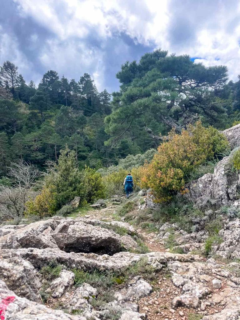 parc natural els ports travesía estels del su