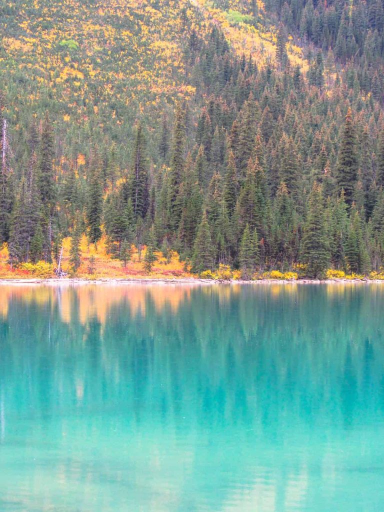 lago sherbrooke ruta otoño yoho