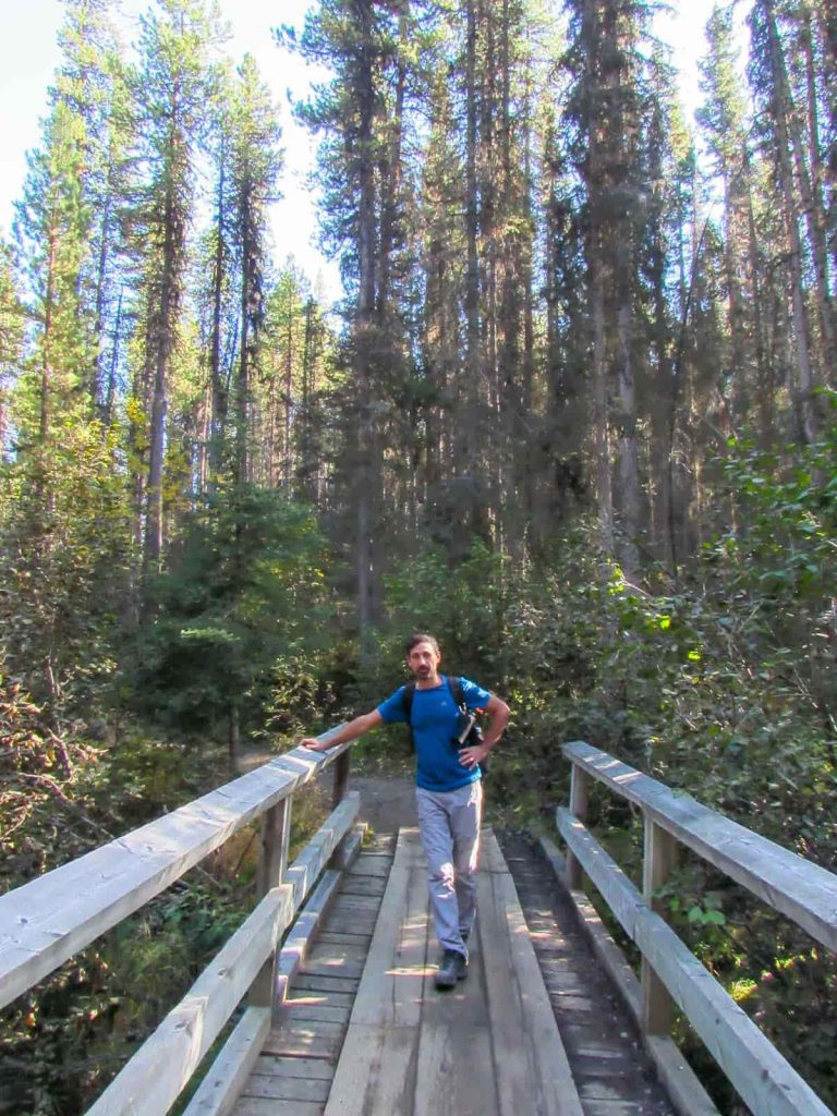 ruta lago taylor puentes