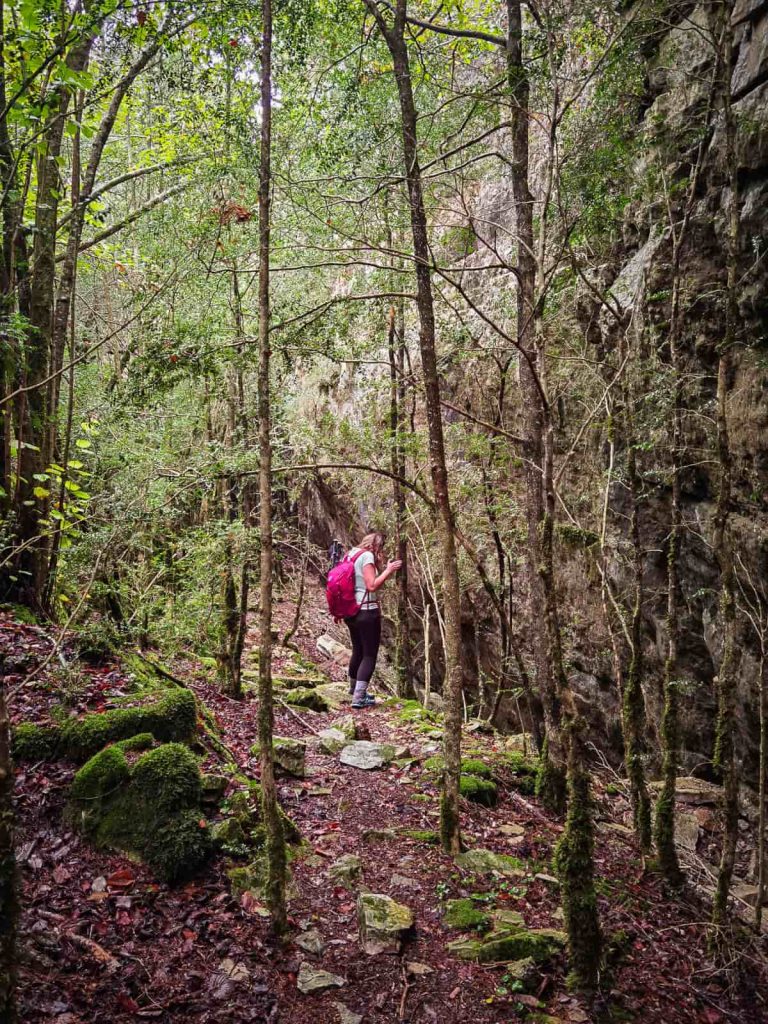 ruta avencots dels motllats prades