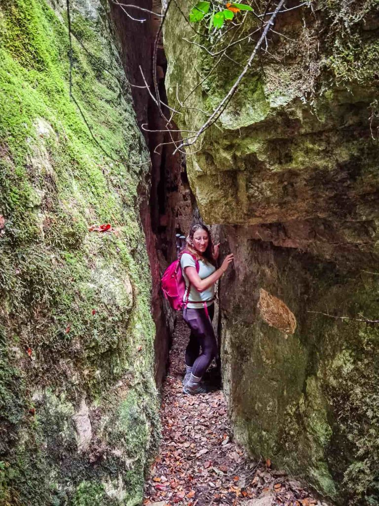 ruta avencots dels motllats muntanyes de prades