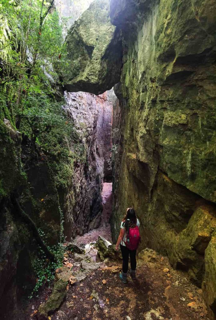 ruta avencs de la febró prades