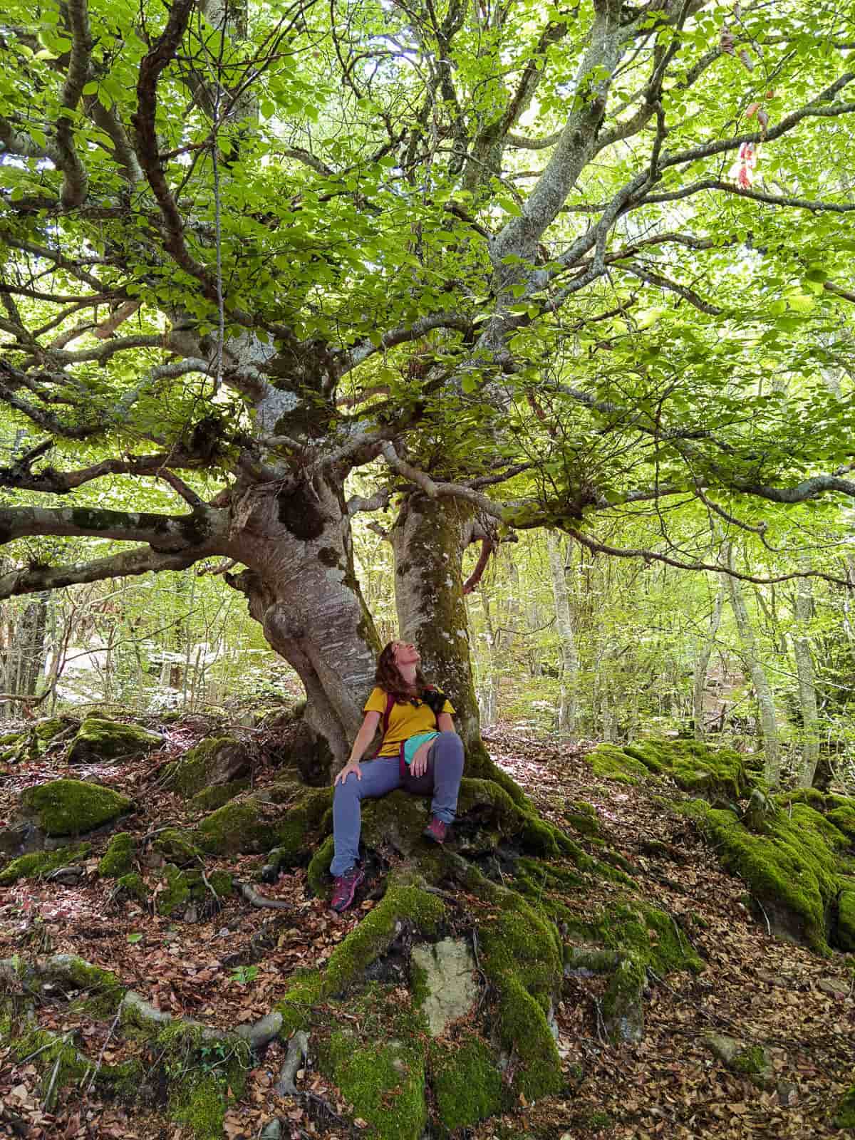 ruta fageda d'en carlac vall aran