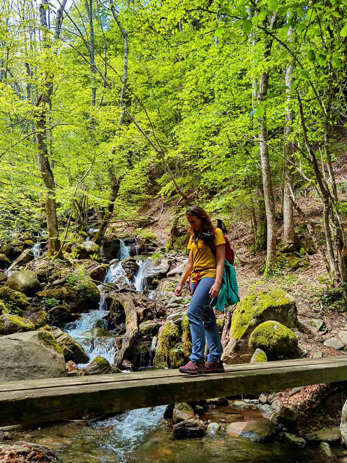 ruta fageda d'en carlac val d'aran