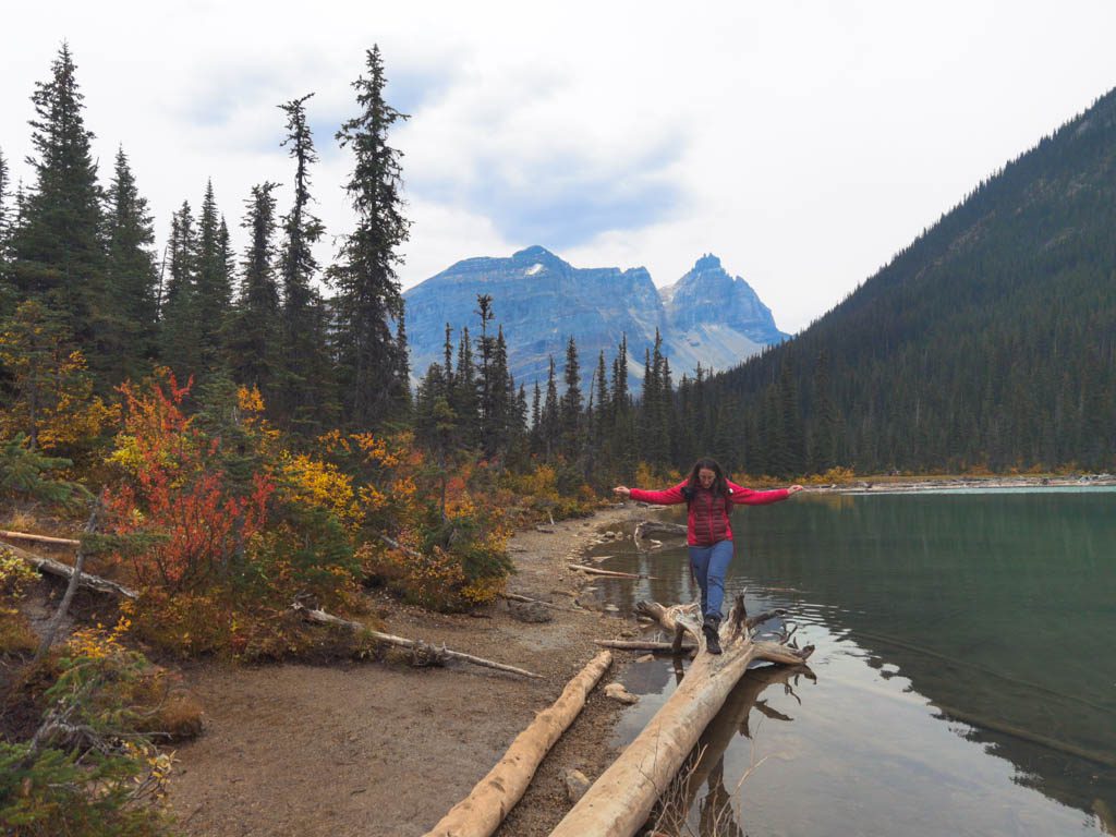 senderismo yoho larch season sherbrooke lago
