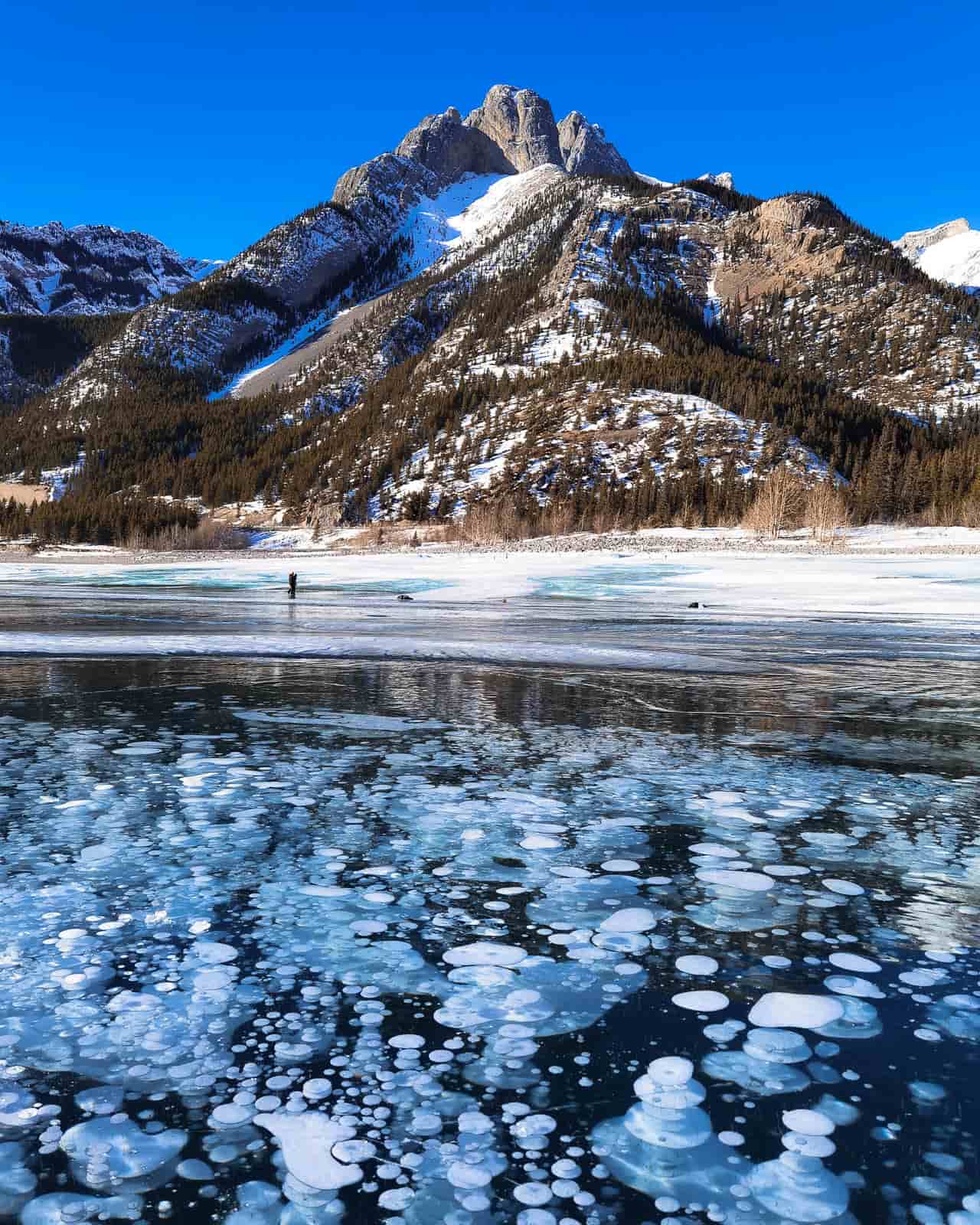 ice bubbles abraham lake when to go