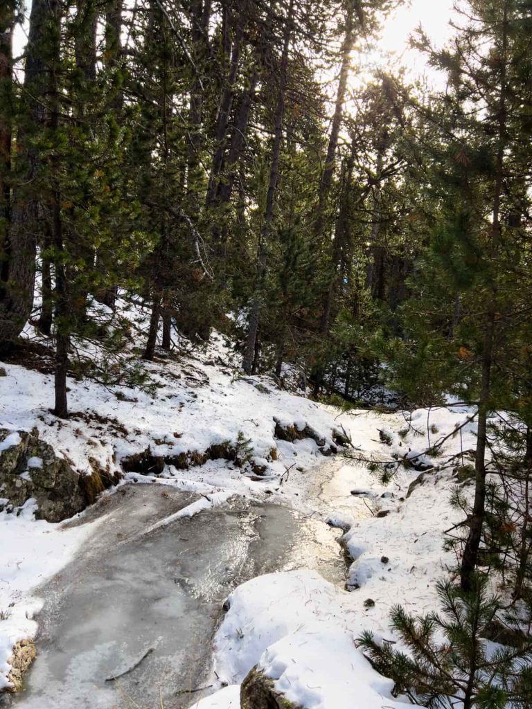 rutas raquetas de nieve faciles la cerdanya estany de l'orri
