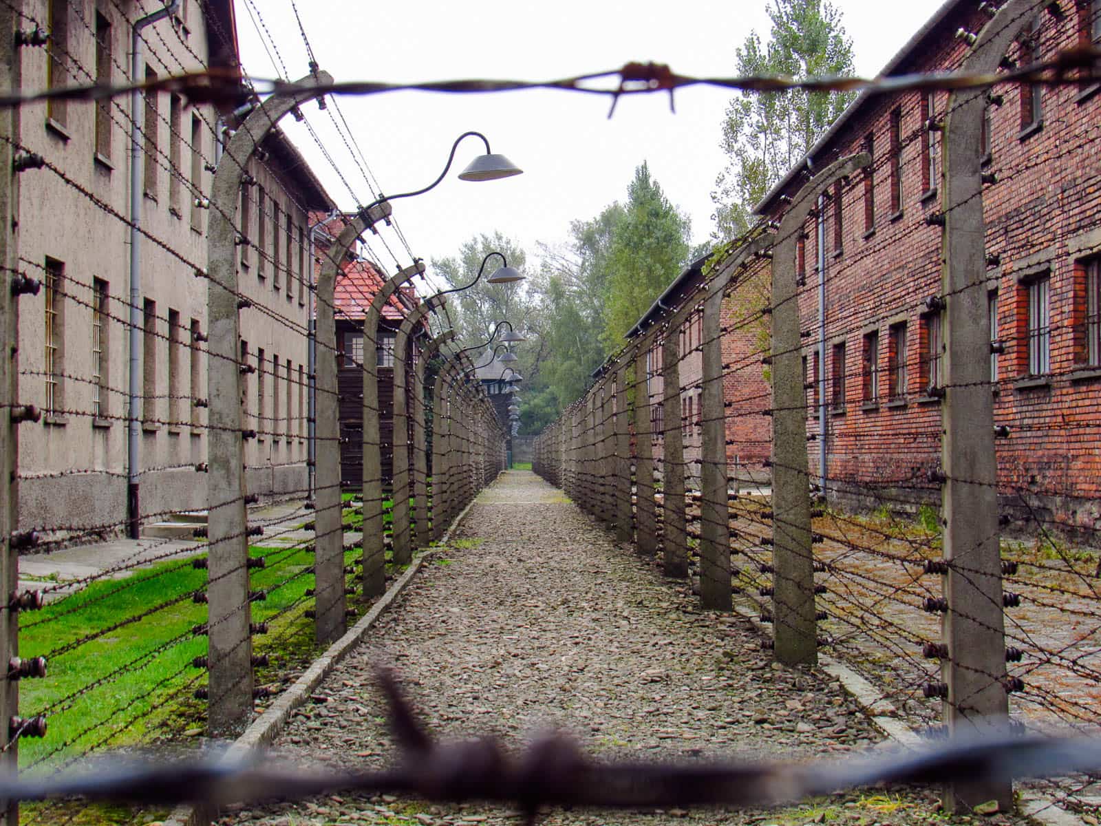 como visitar auswitch cracovia