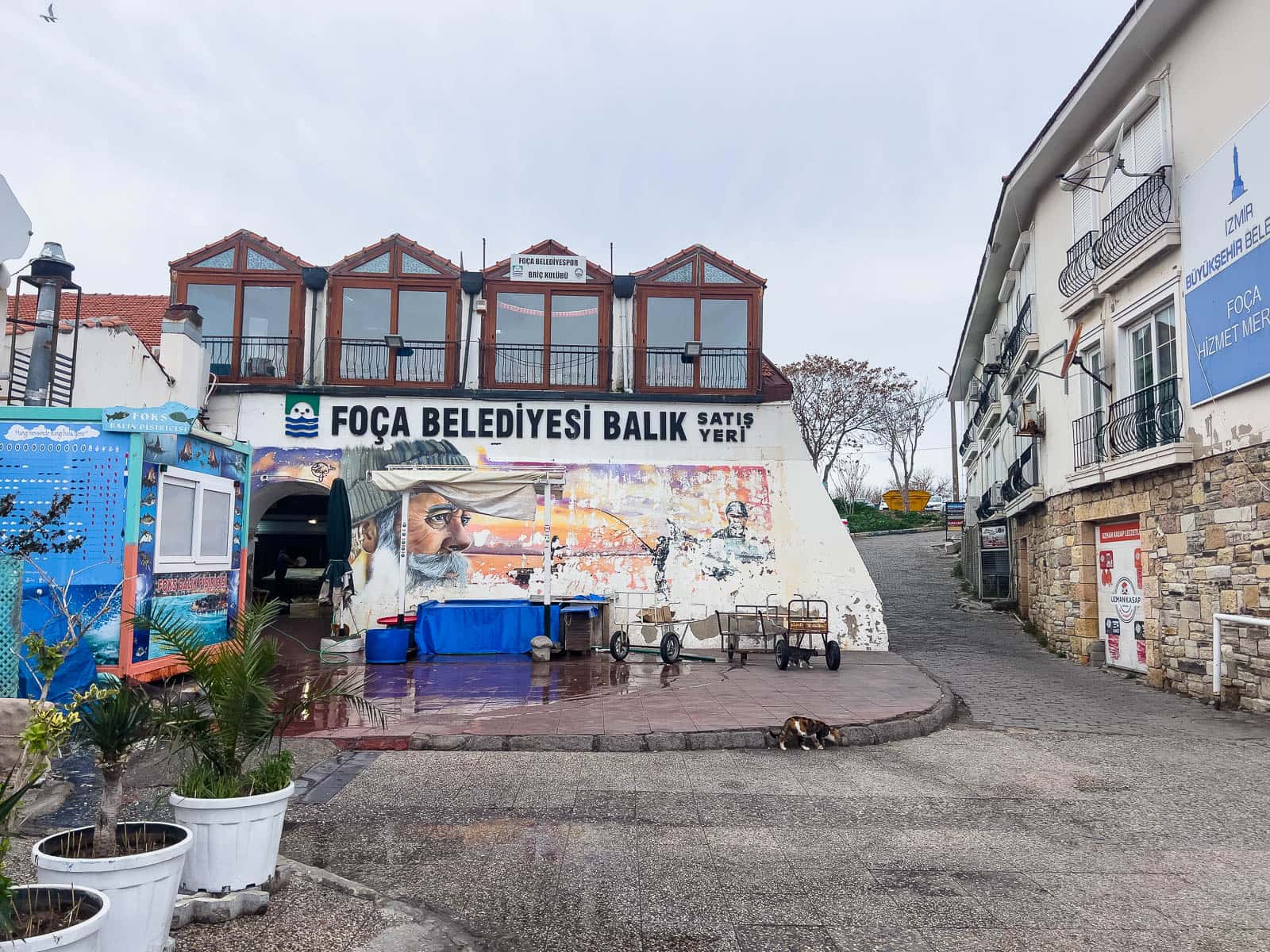 mercado del pescado foça