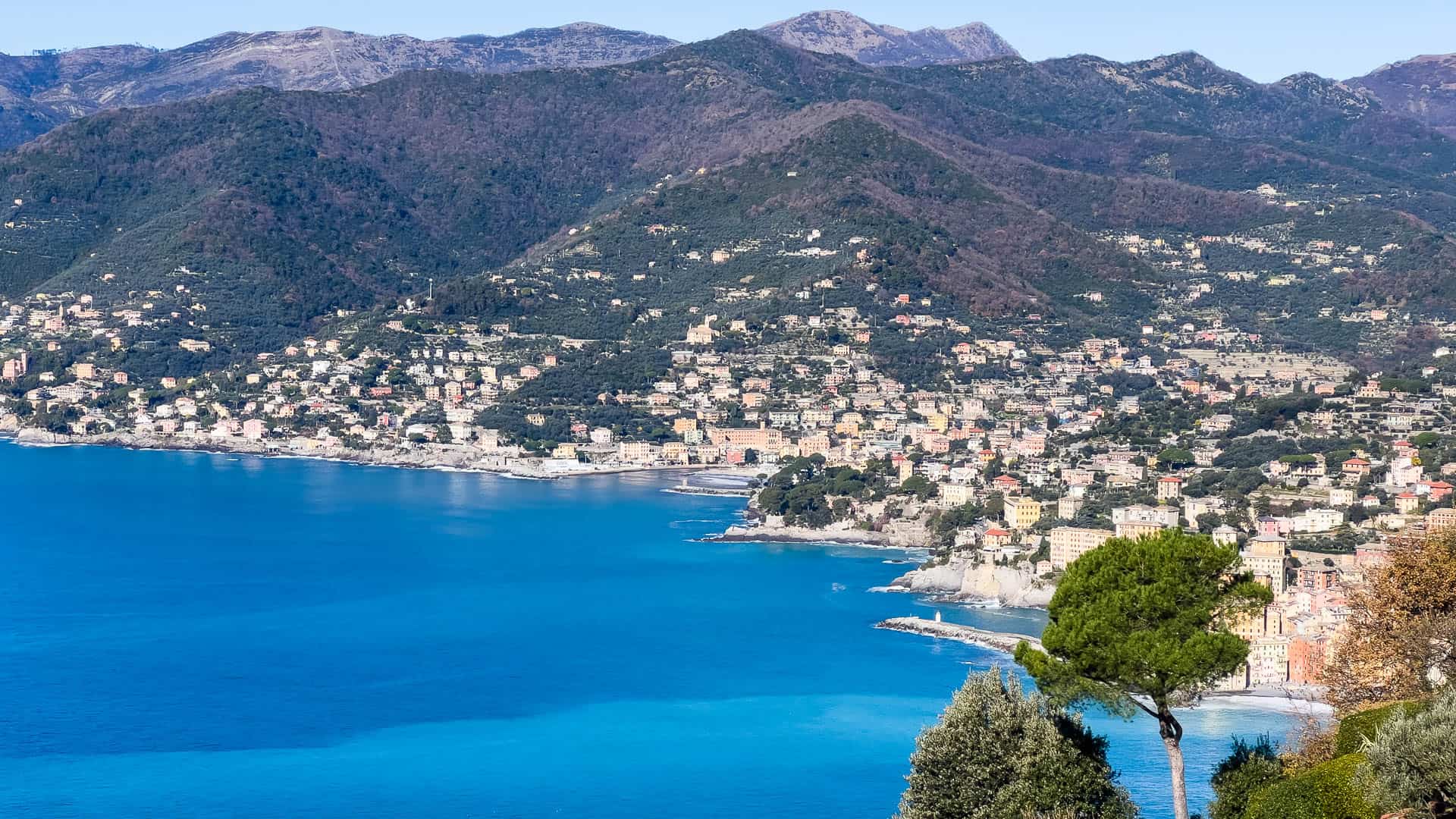Excursiones desde Génova: Camogli, Portofino y la costa ligur