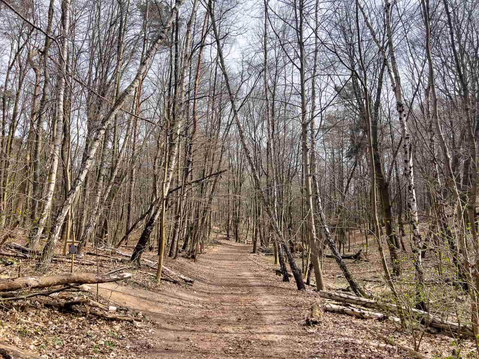 kepa redlowska reserva natural gdynia senderismo