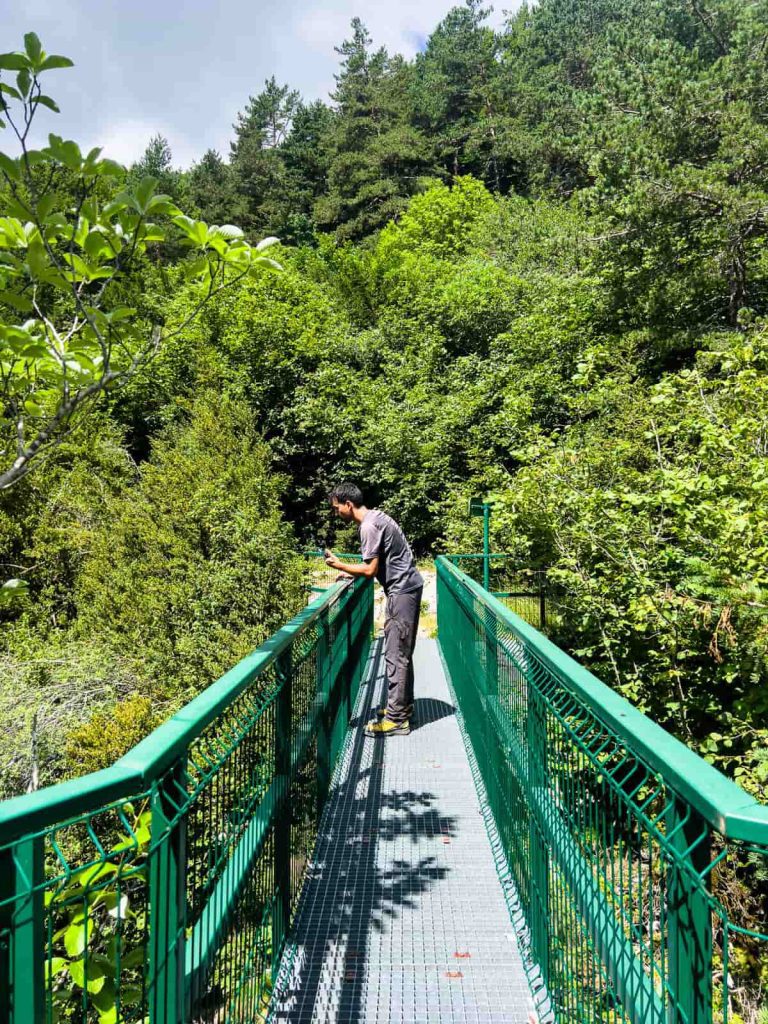 puente los mallos escuaín