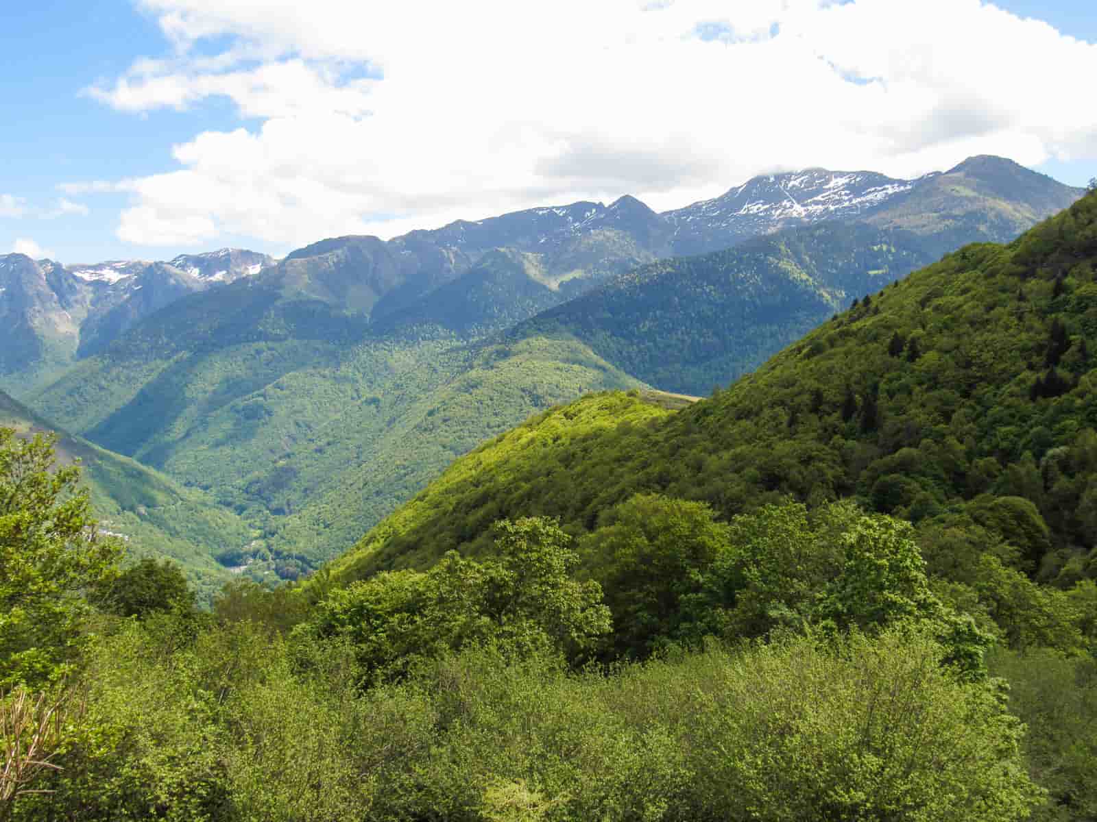 mirador coret de pan, bausen
