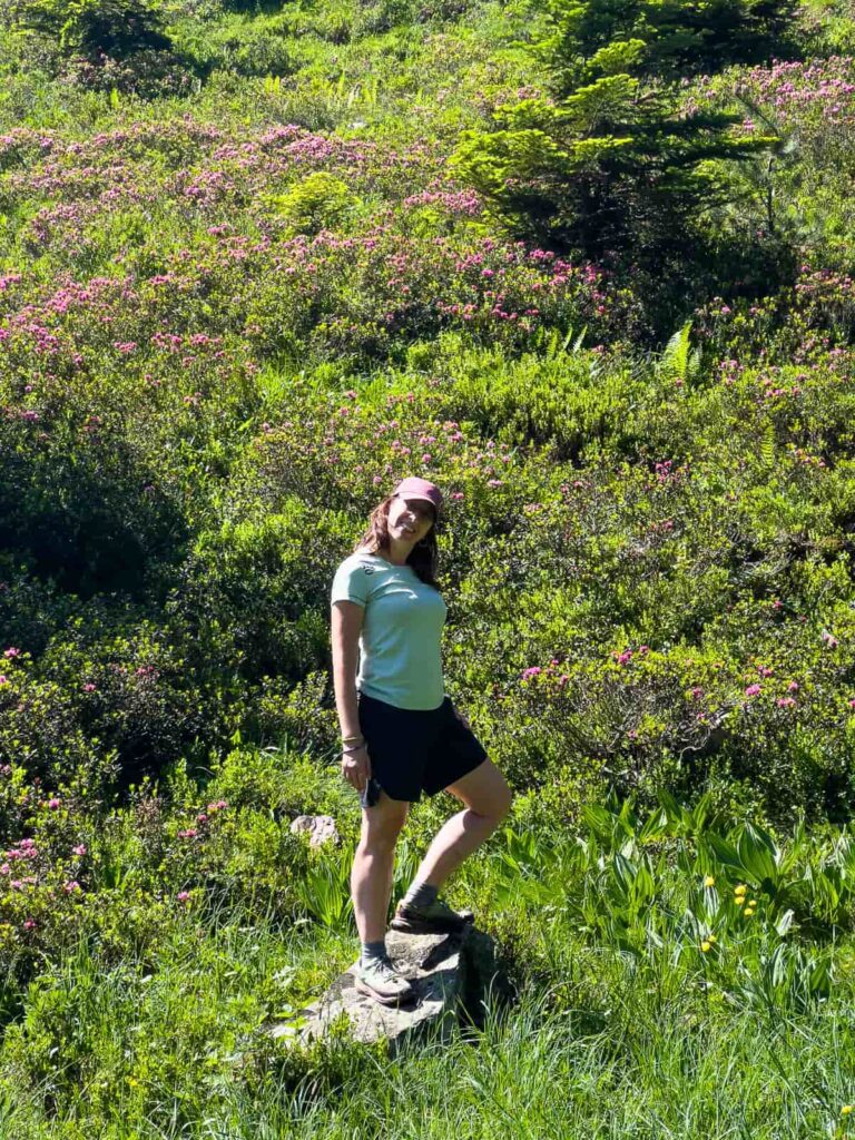 plantas pirineos, arbusto rododendro, neret valle aran
