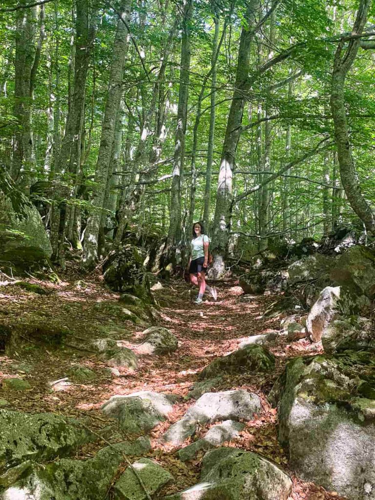 ruta al hayedo de salenques