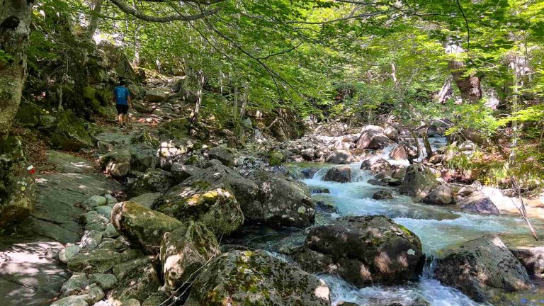 ruta al hayedo de salenques y cascada del pi, pn posets maladeta