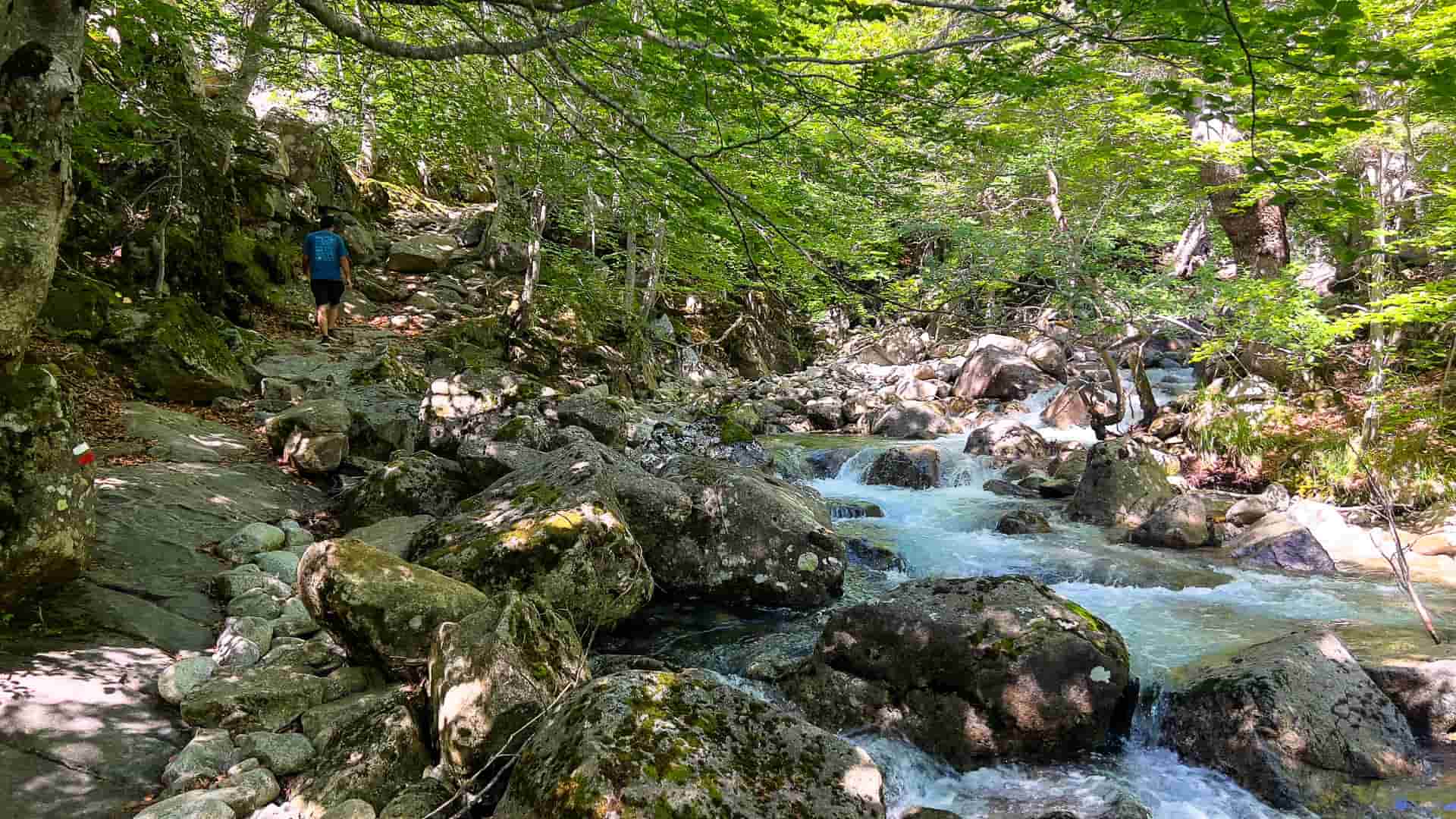 ruta al hayedo de salenques y cascada del pi, pn posets maladeta