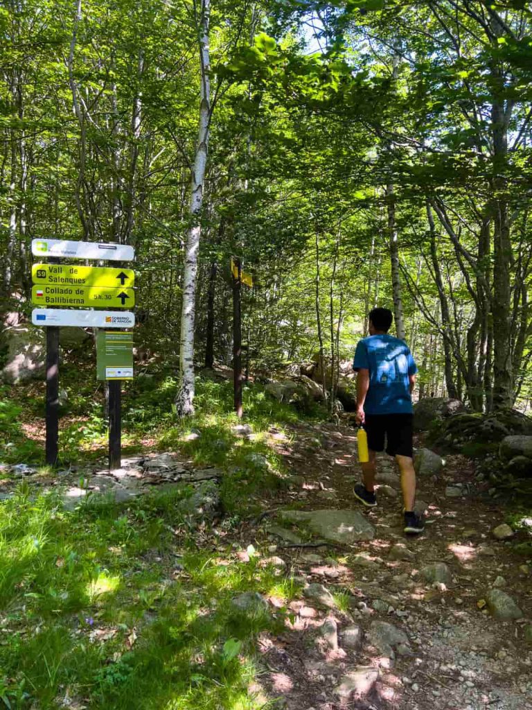 ruta al hayedo de salenques y cascada del pi posets maladeta