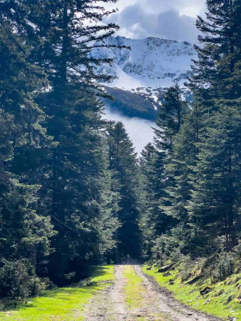 ruta sendero peguere desde fredancon