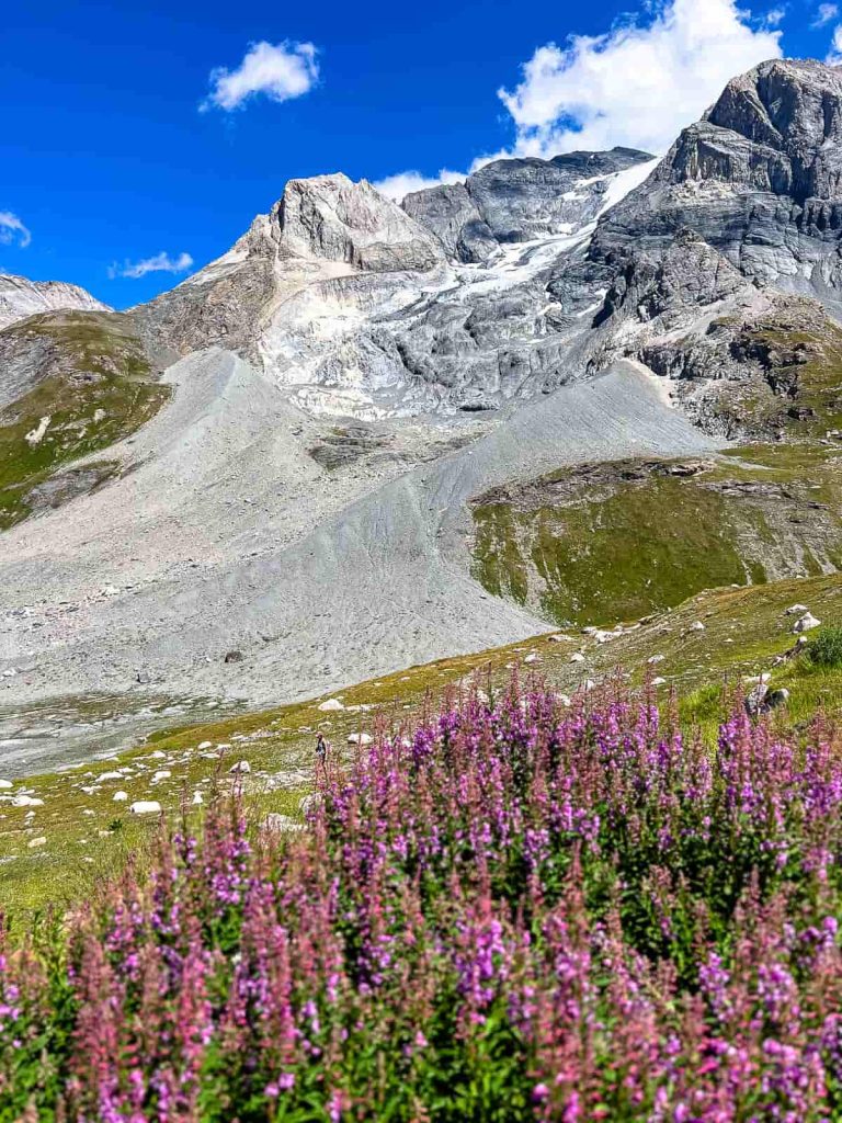 glaciar grande casse col de la vanoise