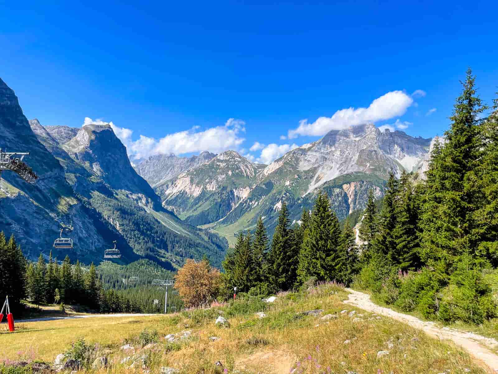 telesilla genepi pralognan