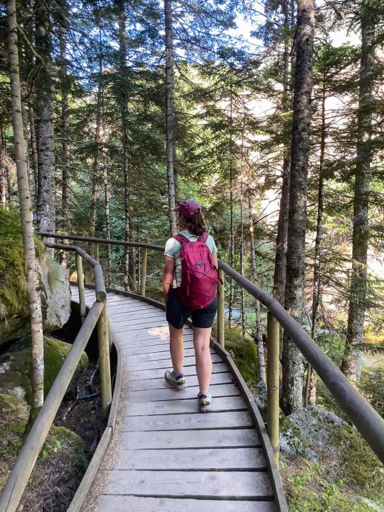 camí isard desde prat pierró, pasarela adaptada