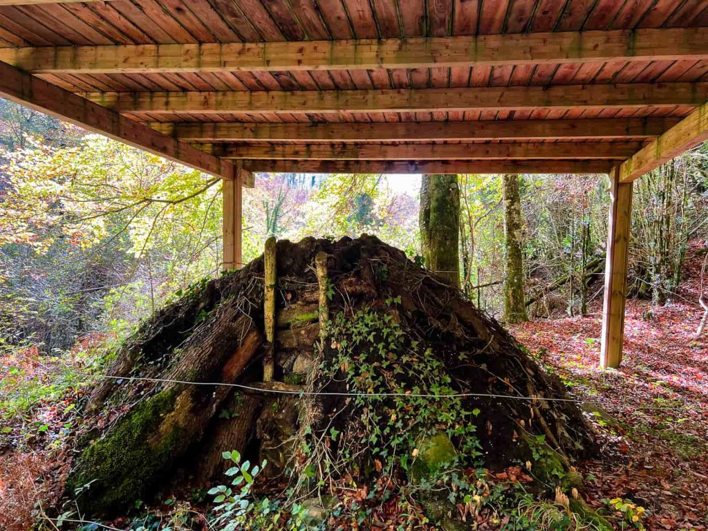 carbonera bosque de la grevolosa